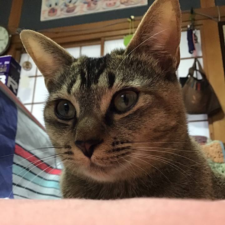 9017fd37 eef6 4620 b183 f6f772cd5224 1577326897055