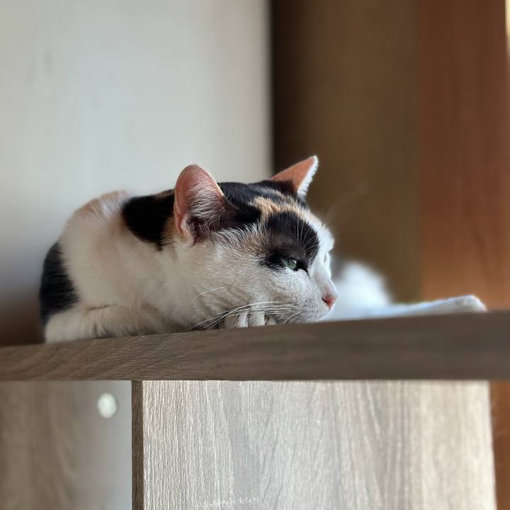 9017fd8e 1301 4719 b844 3a17f39b0211 1693963349265