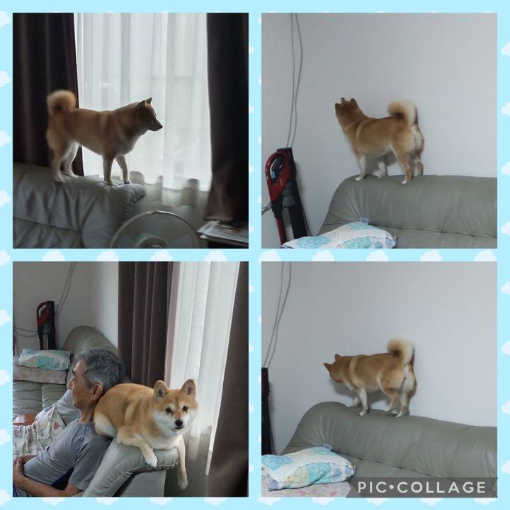 9018068f 09d0 4f44 873c ac0f3a8ff060 1752804668895