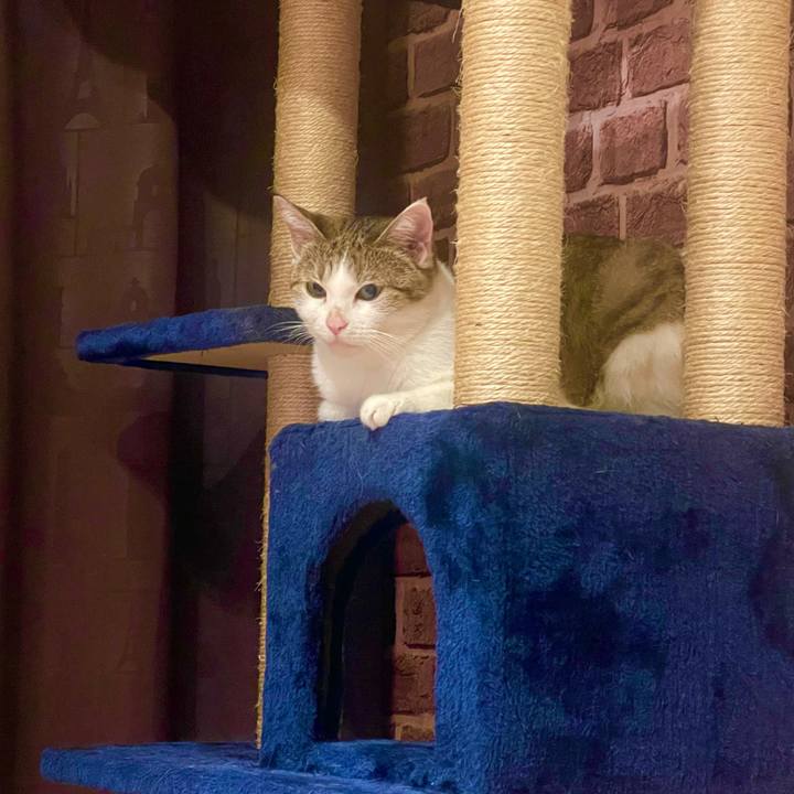 9018b17a e4a8 498d 9b02 480908066520 1630754675559