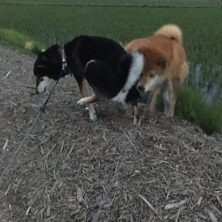 9018e084 9fc4 4baa 920f 3a131d873e16 1559211841366