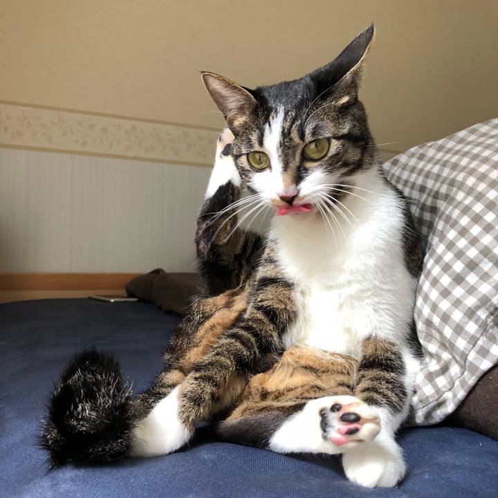 9018eafd 711e 4c47 a814 bcb4be98866a 1520765130965