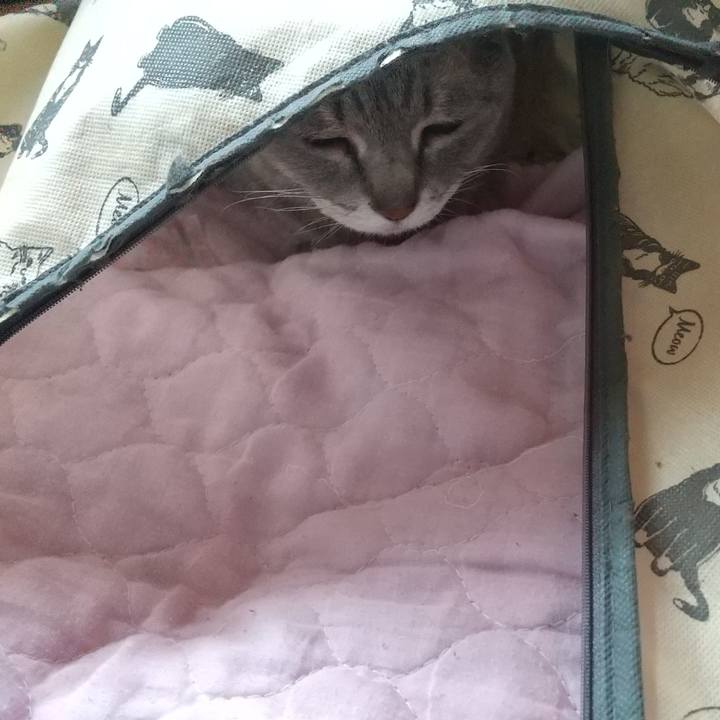 90192589 4ab2 46d0 9b2a 52d699882670 1617420512569