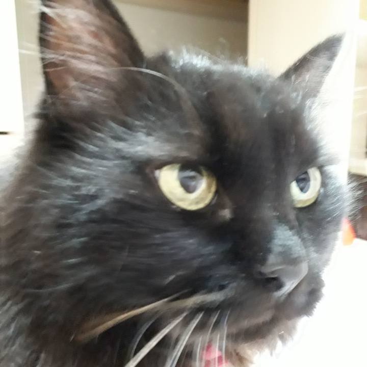 90194df2 c0b2 46d5 91d1 2a687f27353b 1532952838956