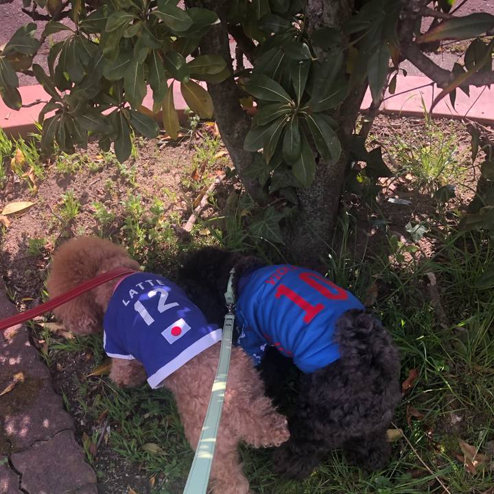 90196b2a 1a62 4d06 becd b15fb5197d98 1616653442826