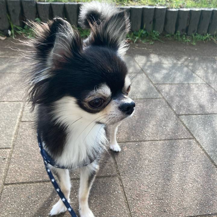 90196de9 ba1b 4665 8cf1 d40fe403a437 1640411850443