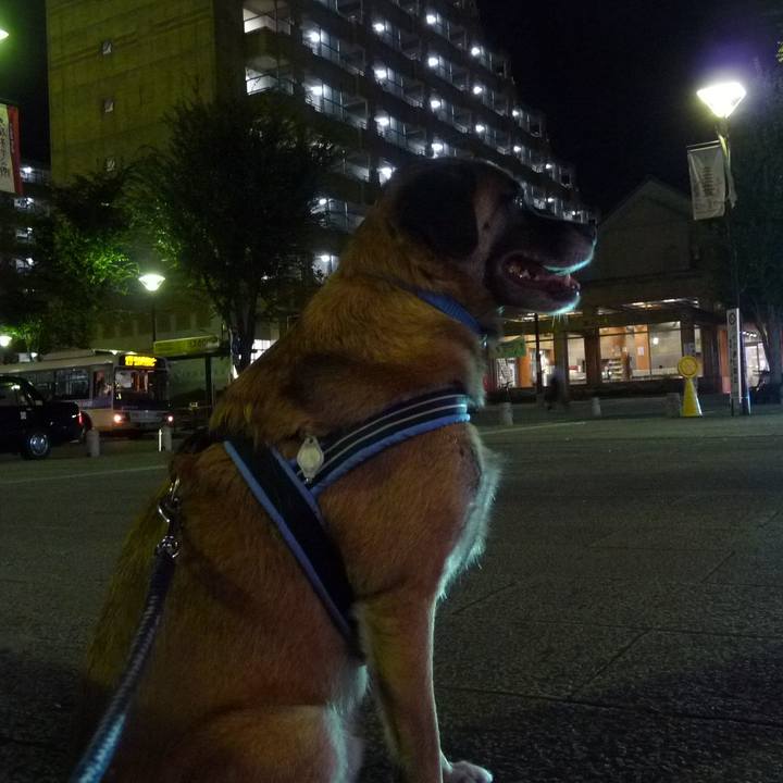 901989ab 36ec 4846 9639 b8fa92f189e8 1578264272368