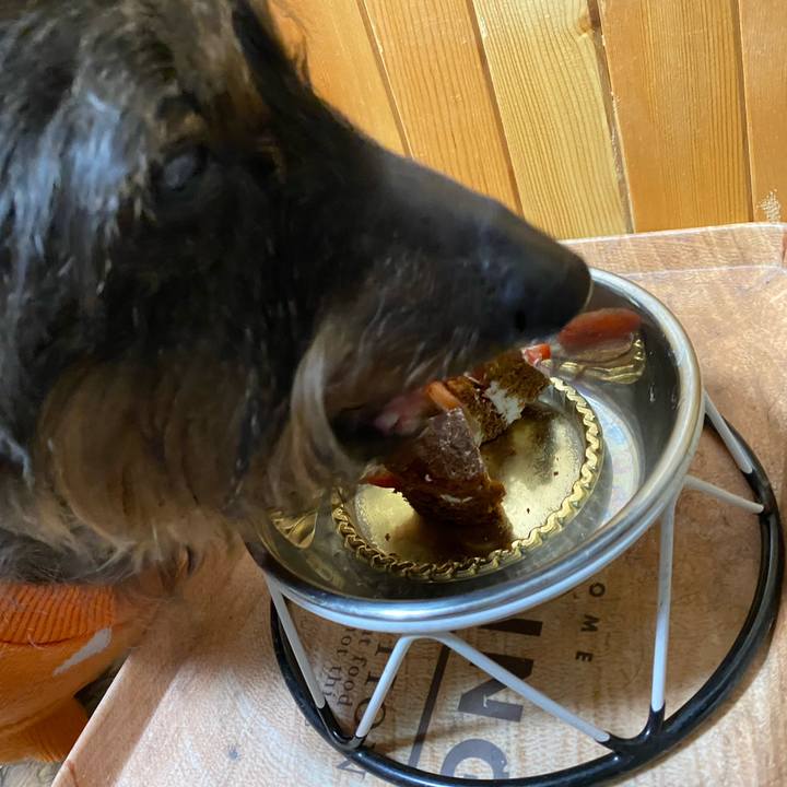 90199180 c4f7 4803 8cb2 7dfeead6f054 1645880696246