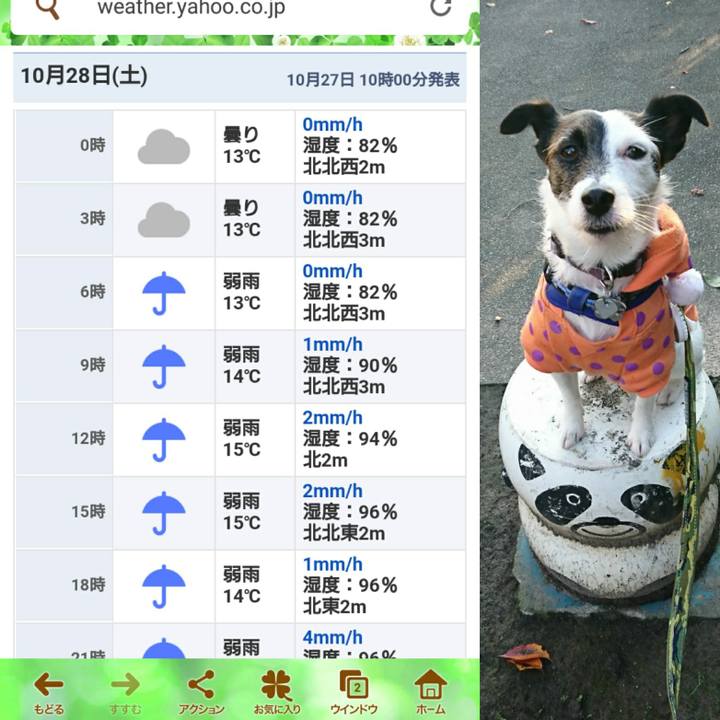 9019b7fb f7b8 4d62 88fd c2fd46a3788d 1509074643921