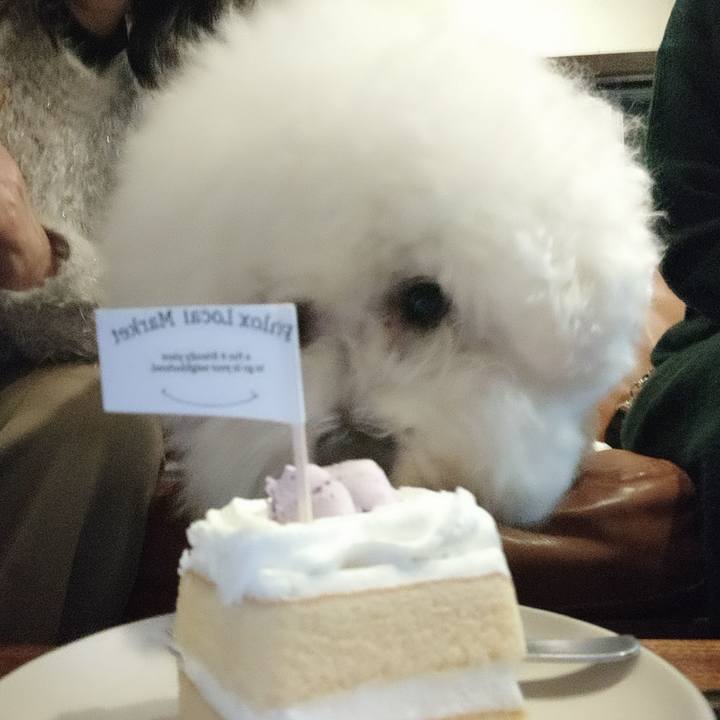 9019be40 56cd 4301 949f 8f1258f2251a 1765750249029