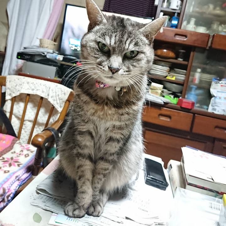 9019dfbe abcc 42ca a5ad b17cd2c2b292 1578173710711