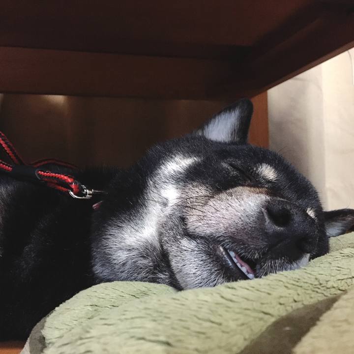 9019f170 2512 4efb b806 dc2dc3fb8402 1558270506122