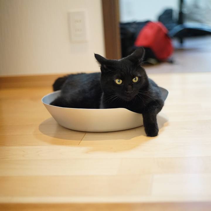 901a013e 03d2 4a8f bf3e 3ee34d738d5e 1528522138668