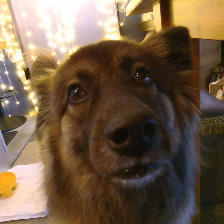 901a61c2 6c36 490b 9922 79fb081b18b6 1764993861798