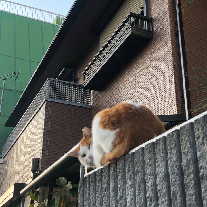 901a9607 4acc 4fc0 9e33 718bdc49e0d1 1643879817918