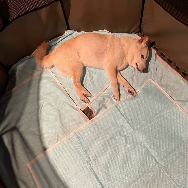 901aa0ce 1897 48fe be51 0dbd6cc1b2ca 1652367394397