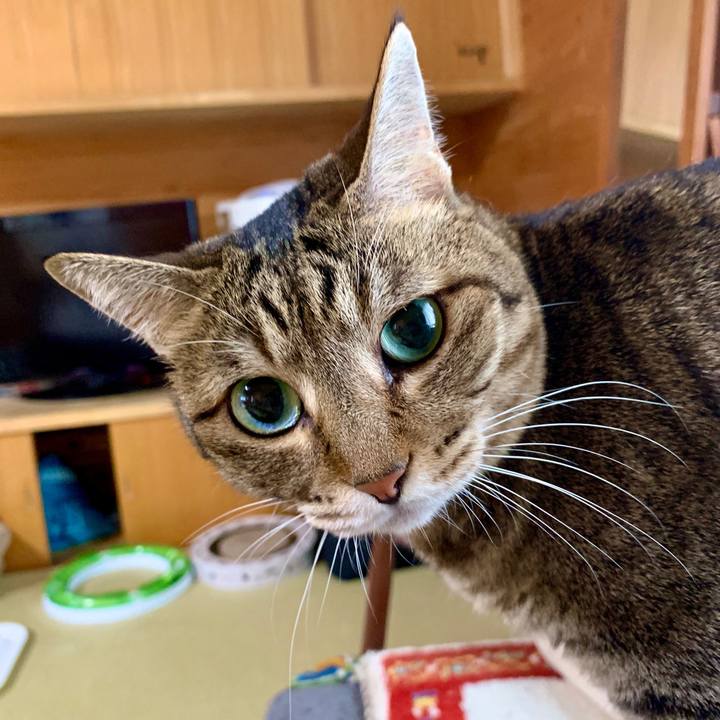 901aada7 f6cf 4f31 abb0 4fa9d781cadd 1598341730101