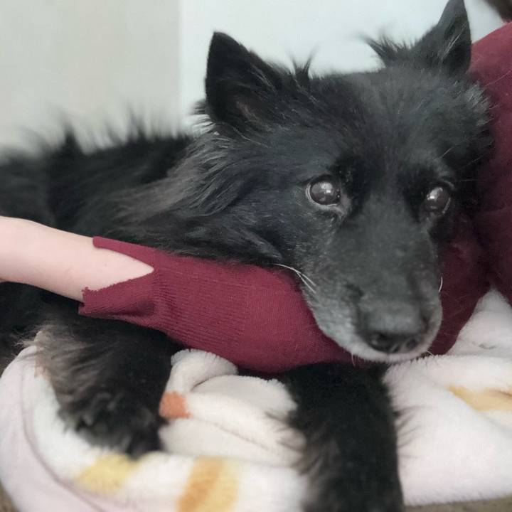 901acd54 4a50 4796 9b07 7e6f765f8aba 1767279460270