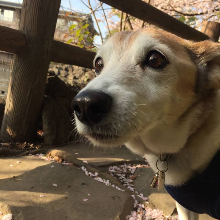 901ad1b4 461a 446f ad2c 006a1db370a1 1533901336543