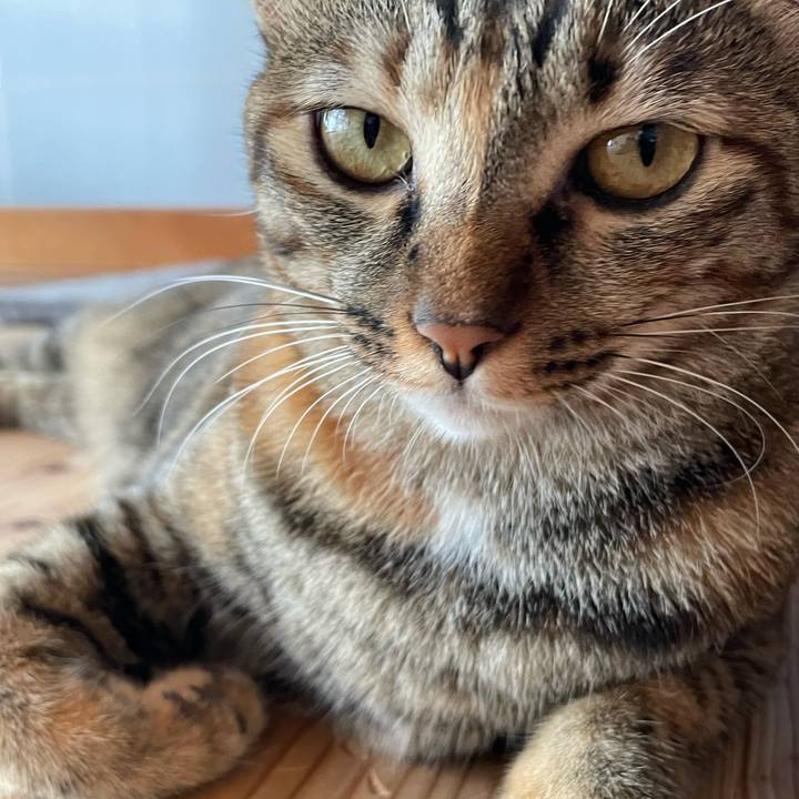 901ae47f 76d5 45c7 8ca6 406ee4d3cff7 1757639105951