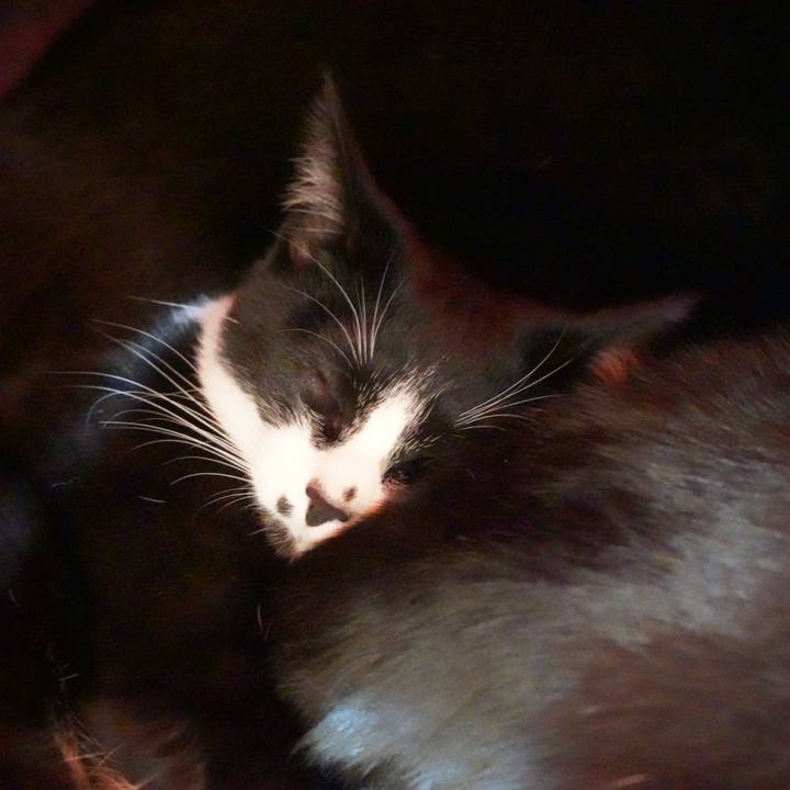 901af780 ce57 4d8e a445 5bcedad31a65 1580255348529