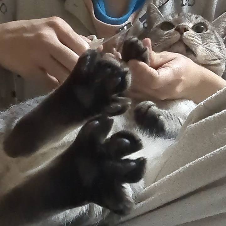 901b7d21 ae50 4f76 a9f4 342f57a6e9b6 1698844828868