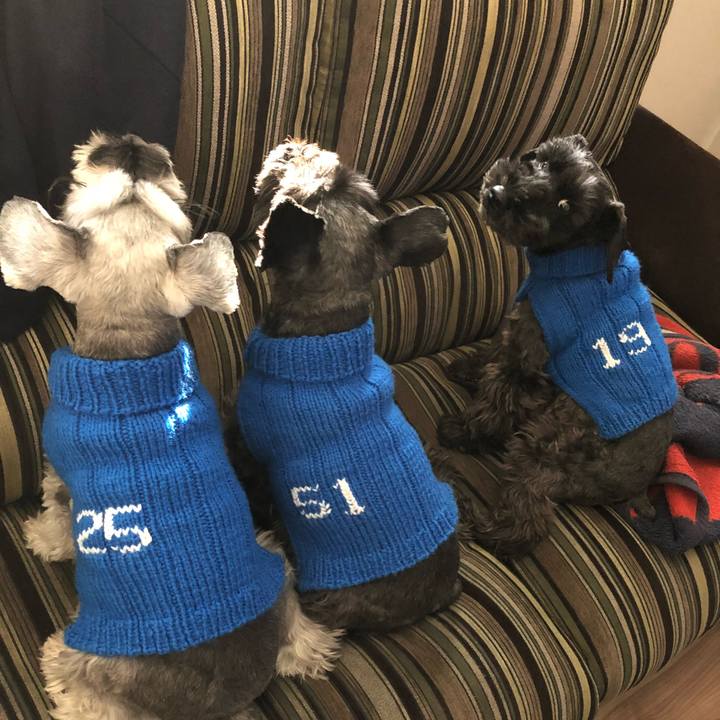 901b9cbc 5510 4914 ad74 23d4fc1c7857 1667523076514