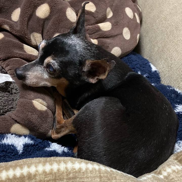 901b9ea2 2b2a 48ec 9b35 f73c71139ecf 1574518141480