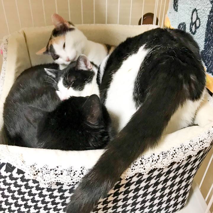 901bae4e f8ea 4f2a 9517 e1fcb1f26714 1516841933697