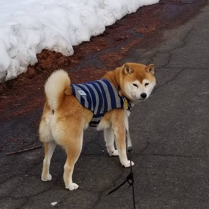 901bb373 c680 4f15 bdfe ef97a0f11eb0 1579061227096