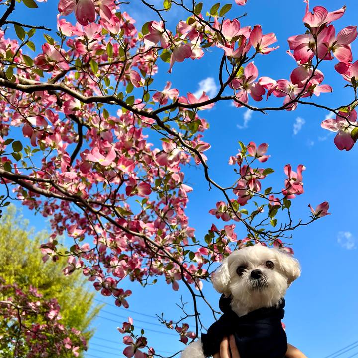 901bc8bc 1356 4e13 a24c ee73659fa6d9 1650955215609