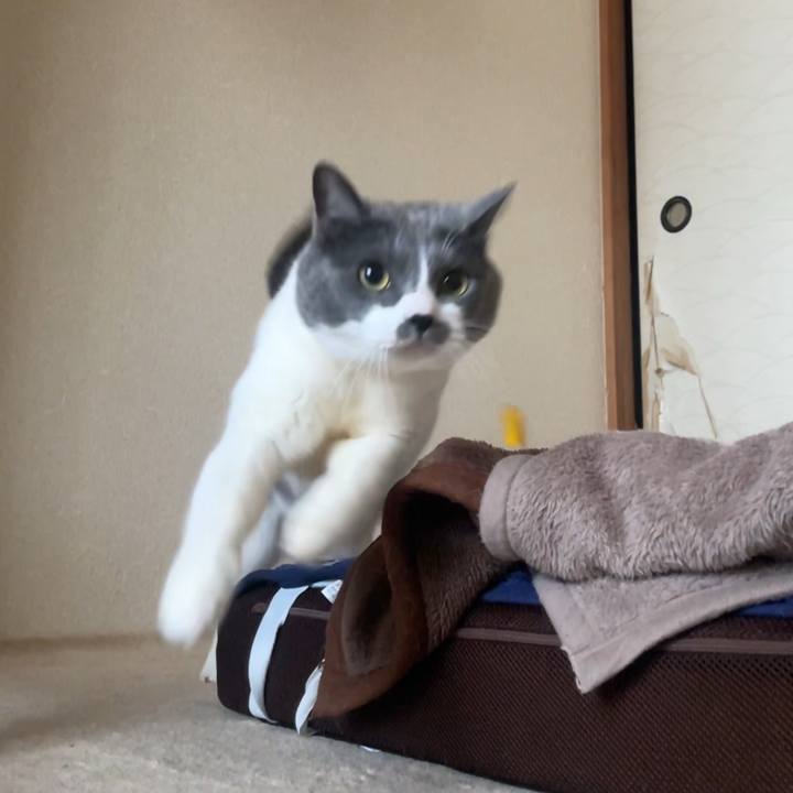 901bebd6 83b7 460c 96ea 2b0b6f32f656 1741592536253