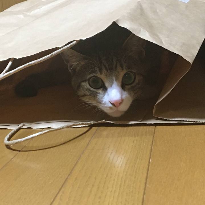 901bec64 401e 4839 ae46 9d7df954f924 1692713188231