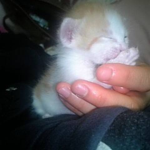 901bf3e5 2b94 42a0 a4bd 2d804f8ab260 1665401892933