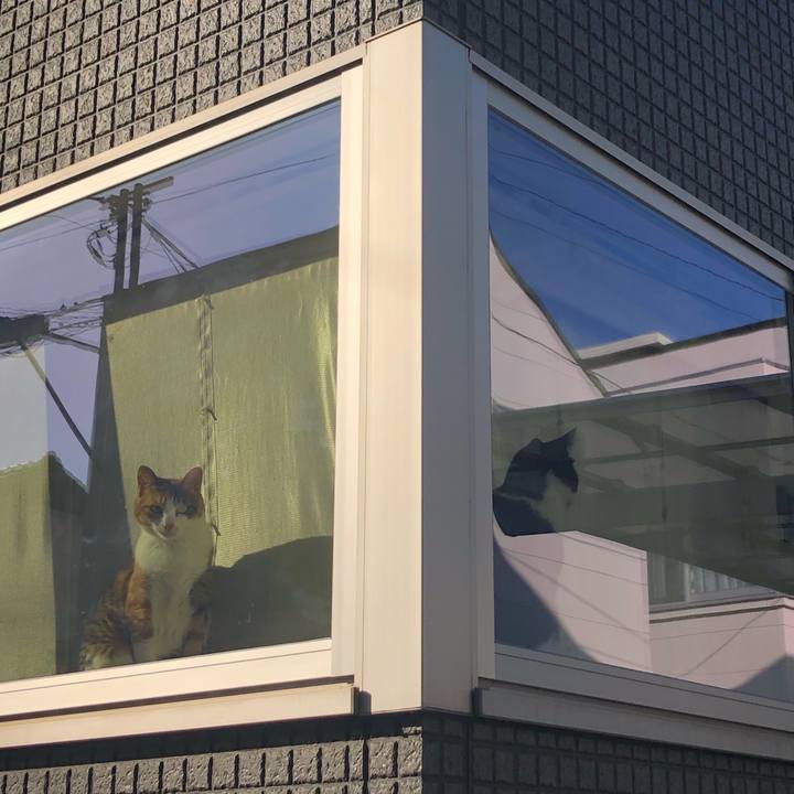 901bf848 3355 4675 8fe5 727e5521df09 1583135144607