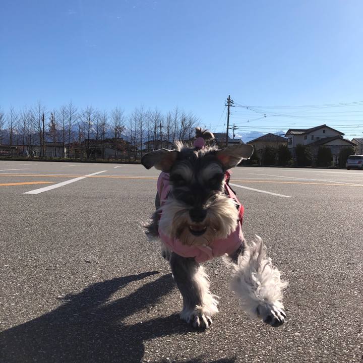 901c0242 2279 4b98 85f7 38659835d399 1577612550071