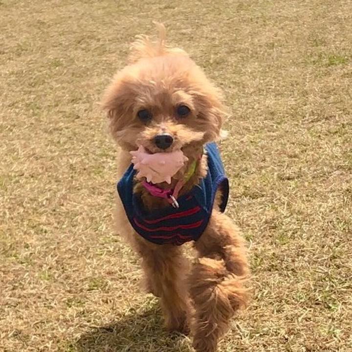 901c0728 fce1 44d6 b2e0 a1b6eadd1158 1553606440905