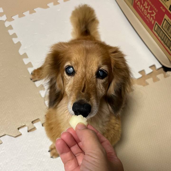 901c0e18 aa7a 4a01 8322 c0cd878fa94f 1661086234502