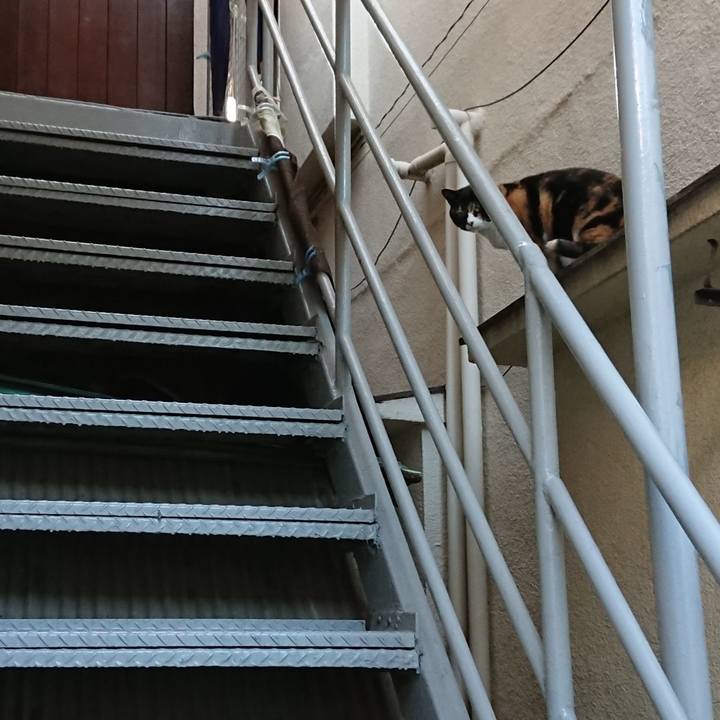 901c0f3d 4579 4678 a4ba 2399e4a6de38 1542166303040