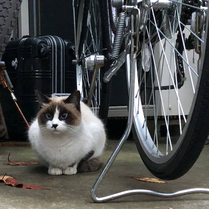 901c1be1 c0c5 42fe 956d 39a8b231bc1e 1544163899687