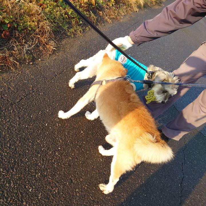 901c6290 300f 491d 806c cc1d1f7b4c71 1765148817660