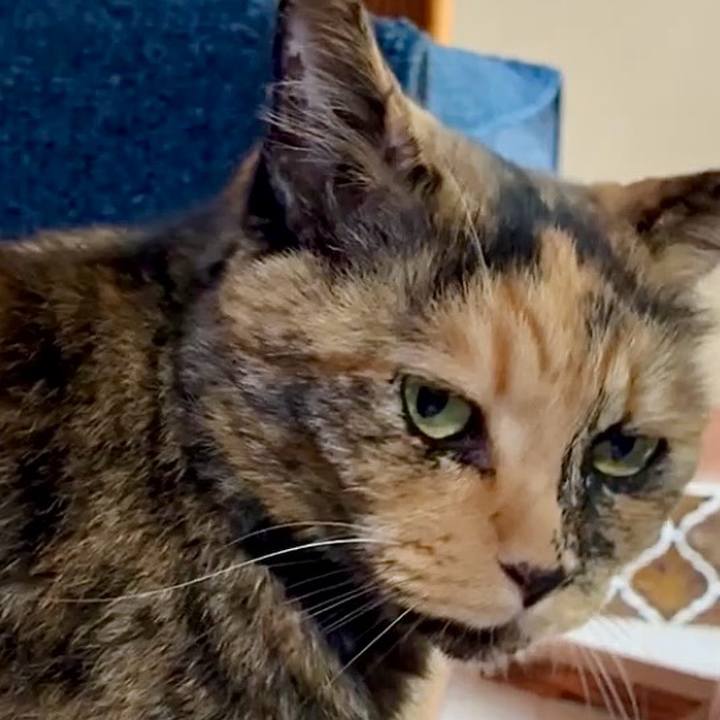 901c663e 3e79 4277 a42e 243800940c4d 1753152517774