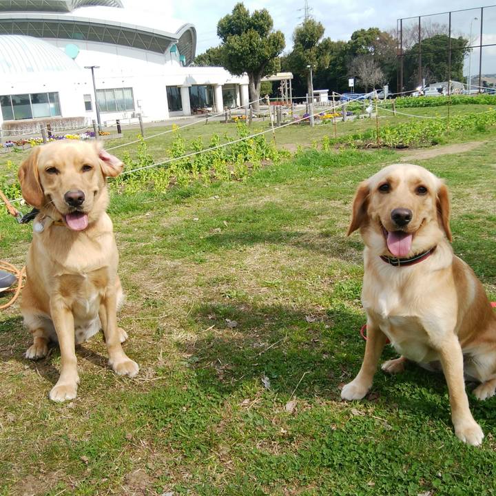 901c740d 6006 4038 b833 f4fb05731e1b 1521373476393