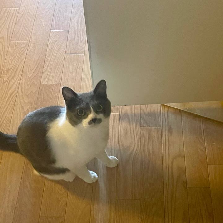 901c8c01 75aa 4035 82ef 09c775f27dbd 1652765949507