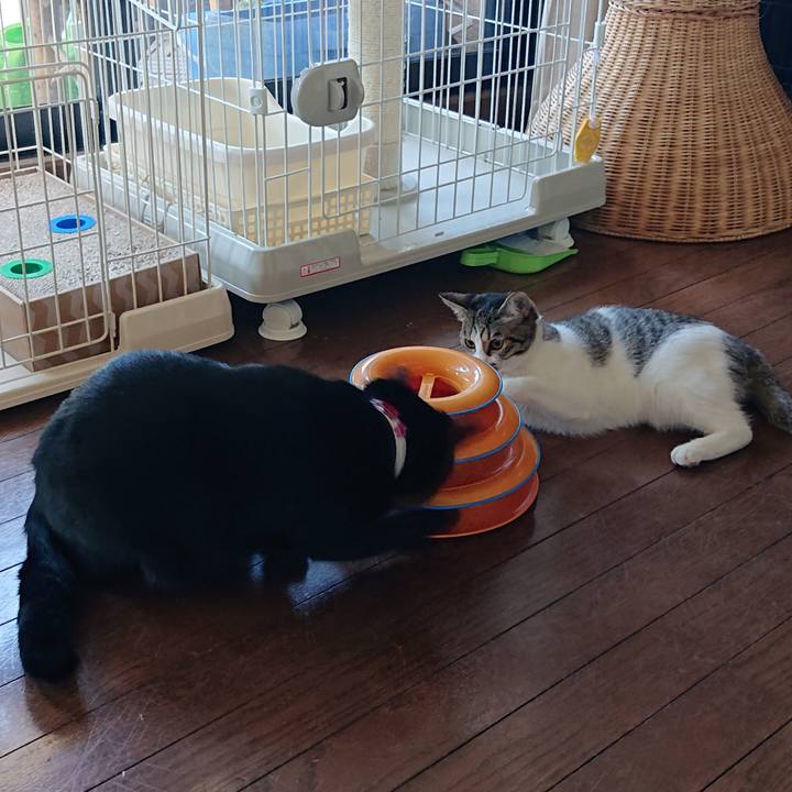 901cbb62 38d6 4683 847b cb14913f43ba 1556320969270