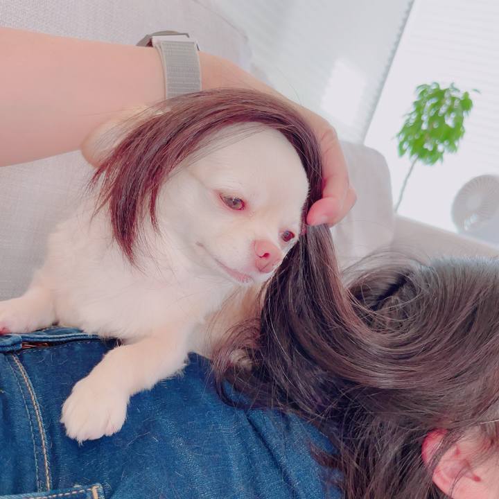 901cc79a 49ac 4170 bfb5 eed70f770a78 1694677461320