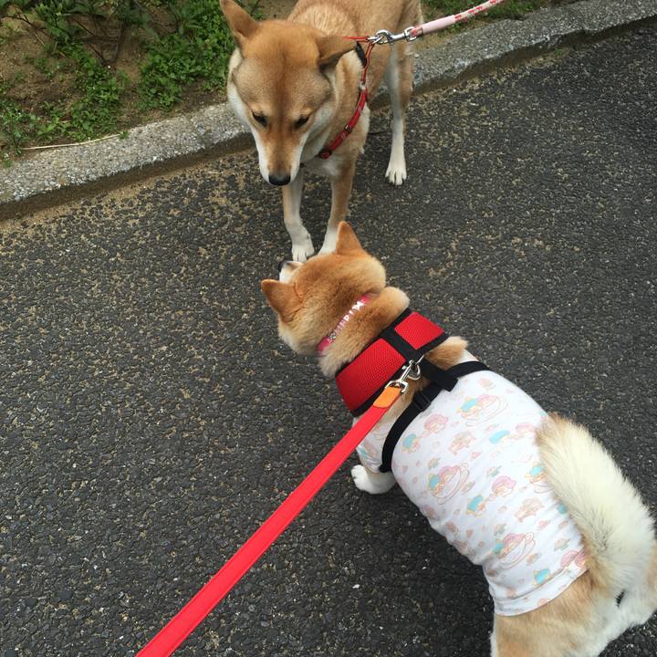 901cda6a 8d86 4832 b209 f4984f4d37ef 1584427211927