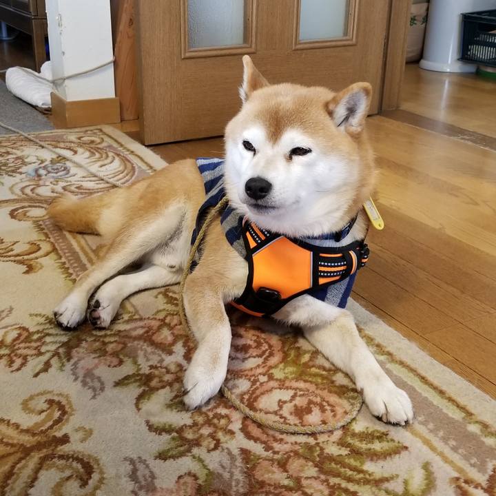 901ce007 309e 45b1 be72 45e4e0d597ff 1581131276622