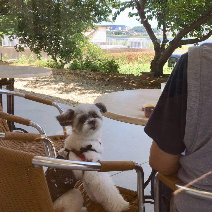 901cfb23 90ed 4a8d acdf 44d199a13402 1530406734510