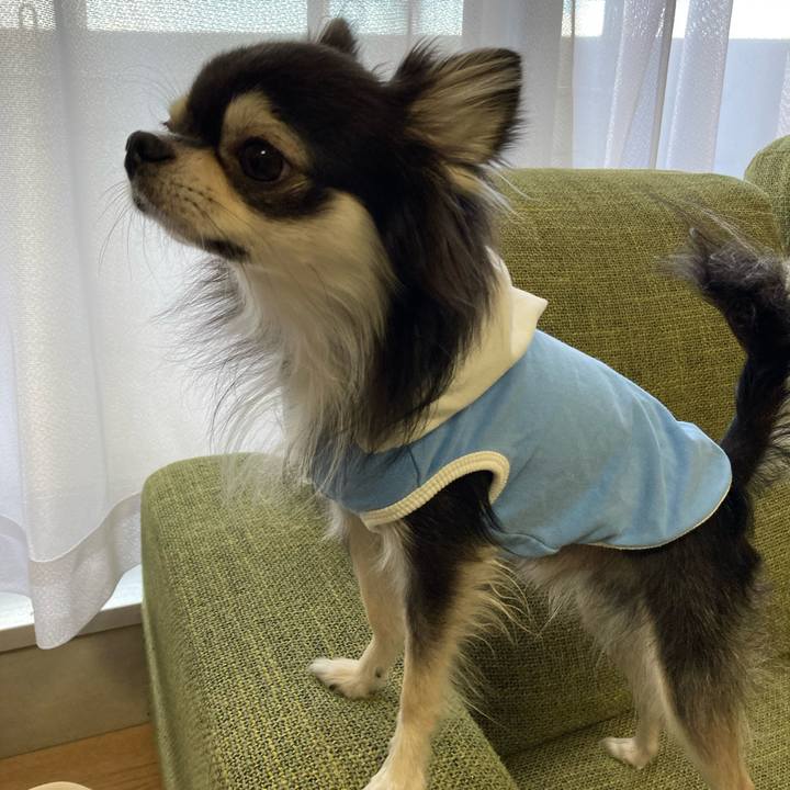 901cfc17 4c19 4f3a be3c 4307923a8306 1667109981902